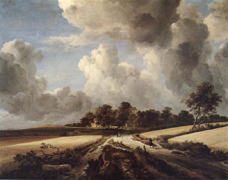 RUISDAEL, Jacob Isaackszon van Wheatfields oil painting image